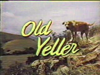 You are here: Pics  Old Yeller ...