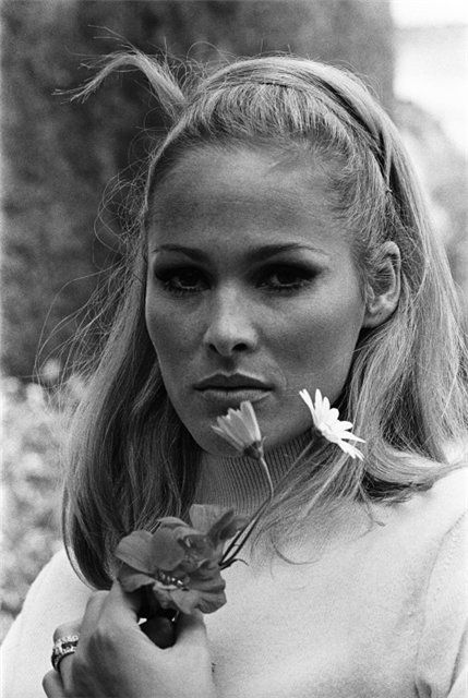 Ursula Andress Previous PictureNext Picture 