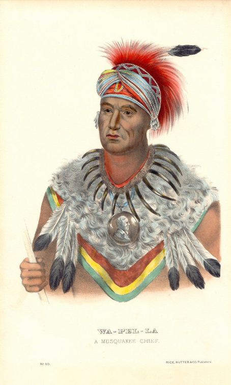 Wapello (chief)