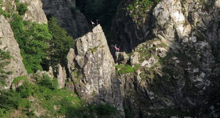 Hirschsprung (Black Forest)
