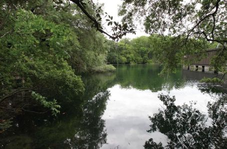 Bugg Spring
