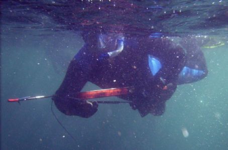 List of Spearfishing - FamousFix List