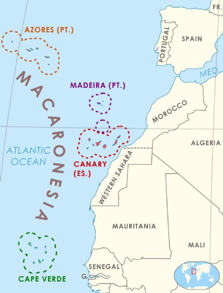 Macaronesia
