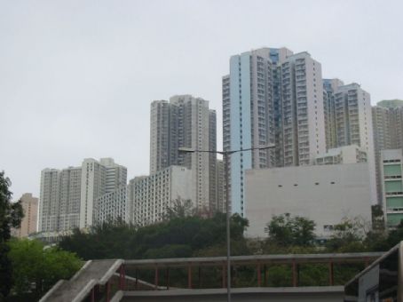 Kwai Shing