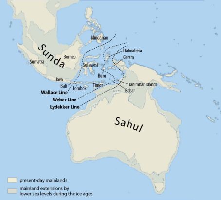 Sundaland