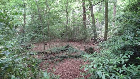 Harrow Weald SSSI