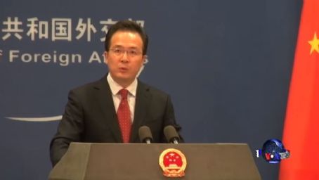 Hong Lei (politician)