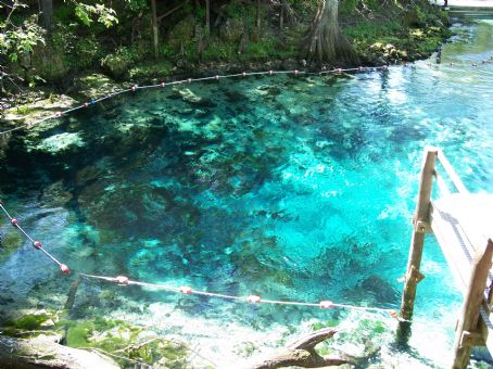 Fanning Springs State Park