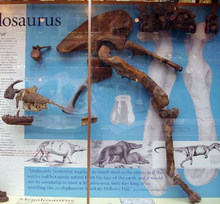 Megalosaurus