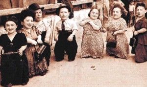 Ovitz family