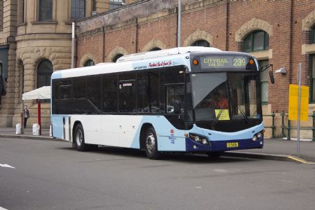 Custom Bus