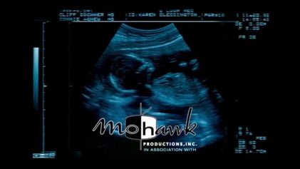 Mohawk Productions