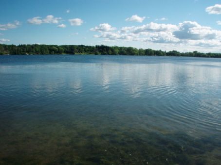 Lake Wilcox