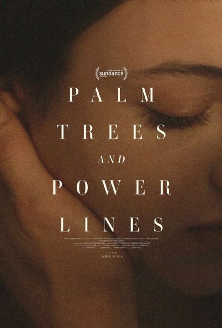 Palm Trees and Power Lines