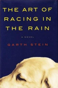The Art of Racing in the Rain
