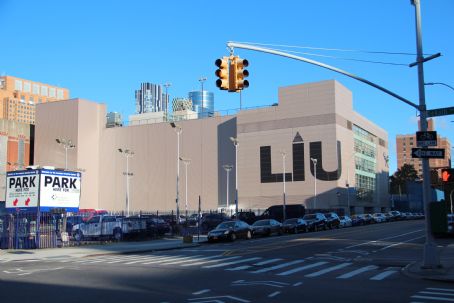 Steinberg Wellness Center