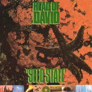 Seed State