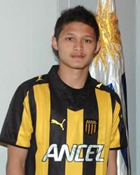 Syamsir Alam