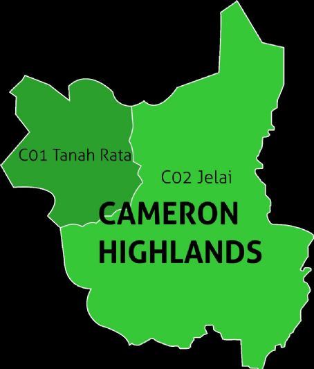 2019 Cameron Highlands by-election