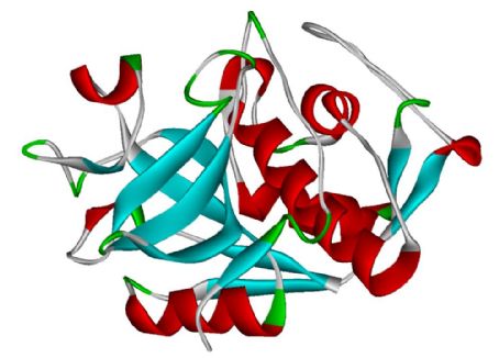 Cathepsin K
