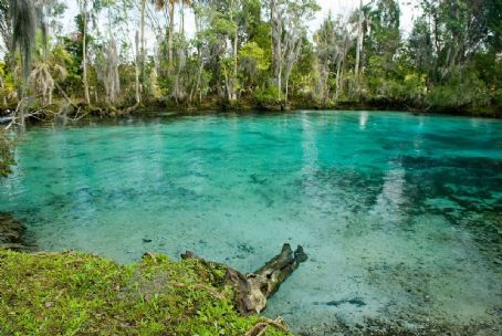Three Sisters Springs (Florida)
