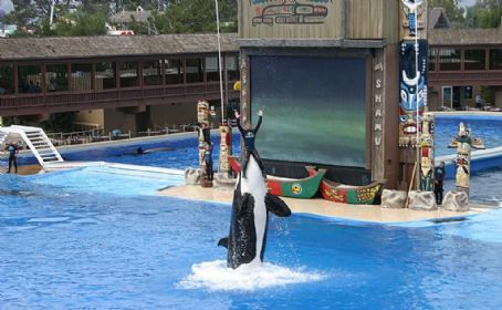 Marine mammal park