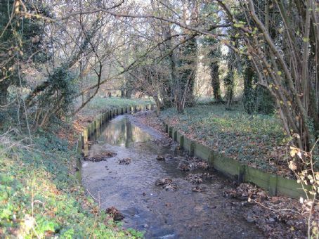 Mutton Brook