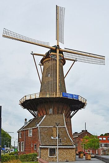 De Roos