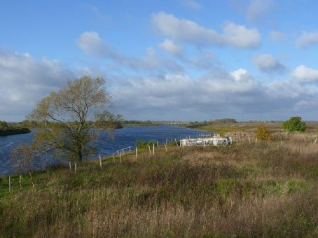 Shelon River