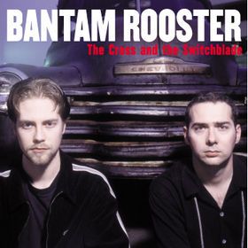 Bantam Rooster