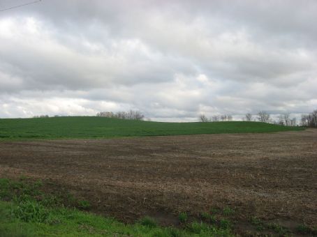 Ware Mounds and Village Site