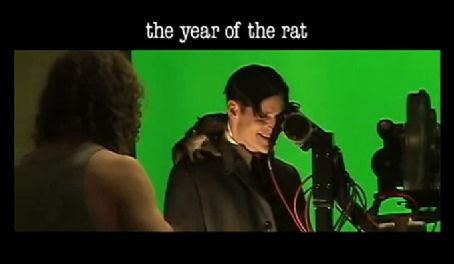 The Year of the Rat