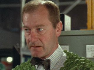 Tristram Jellinek