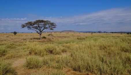 Serengeti National Park