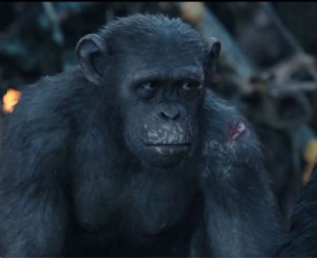 Dawn of the Planet of the Apes