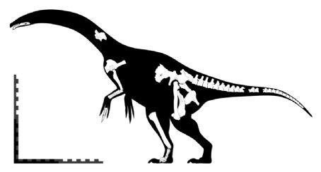 Segnosaurus