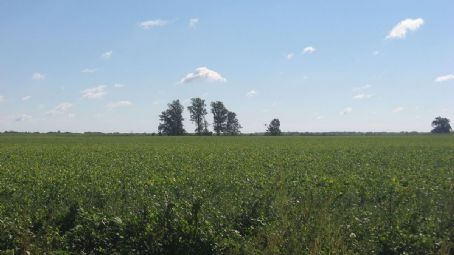 Mayberry Mound and Village Site