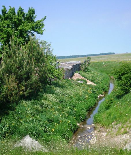 Kačupys