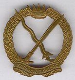 Sarawak Rangers