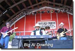 Big Al Downing