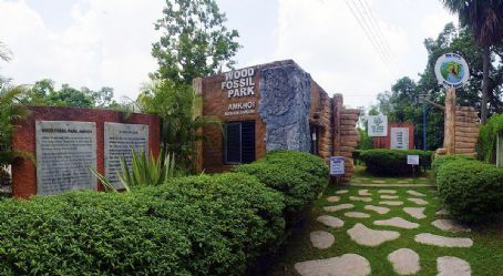 Amkhoi Fossil Park