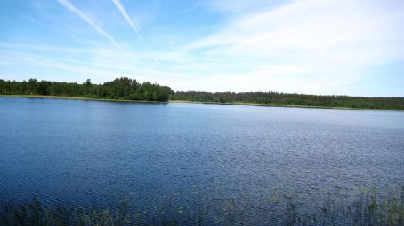 Alolya River