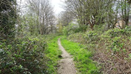 Belmont Pastures