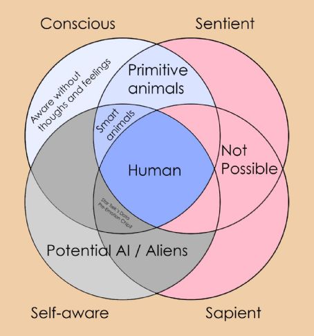 Sentience