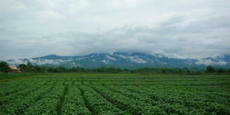 Khun Tan Range