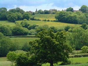 High Weald Area of Outstanding Natural Beauty