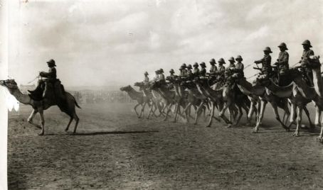 Somaliland Camel Corps