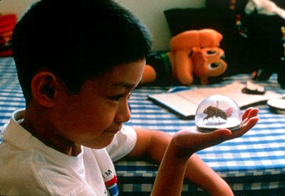 Yi yi: A One and a Two... (2000)