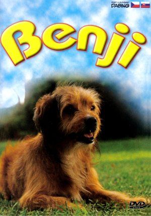 Who is Benji dating? Benji partner, spouse