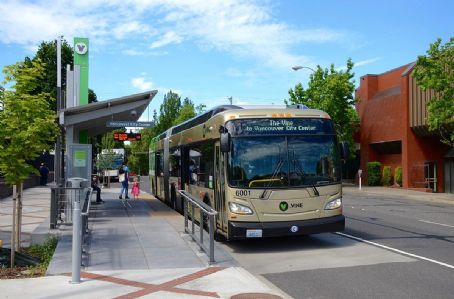 The Vine (bus rapid transit)